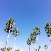 断捨離中＊まとめ売りの画像