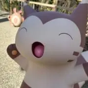 タマの画像