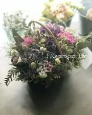 F/greenscent**の画像