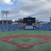 つばめの画像
