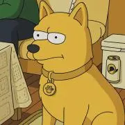 ナチグロン