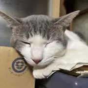 ゆうちゃん