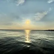 ぴよまるの画像