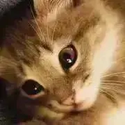月の雫☆