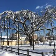 Akiの画像
