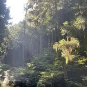 baruの画像