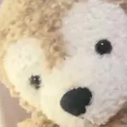 はなちゃんの画像