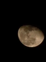 なるの画像