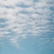 S.Yの画像