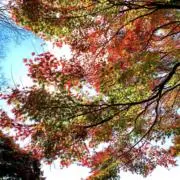 れん✨即購入OKです✨の画像
