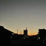 まりおの画像