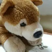 Suchan0808
