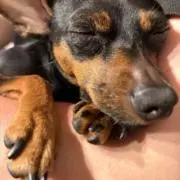 RaRa♡