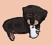n.sの画像