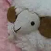 Saori
