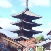 麦茶
