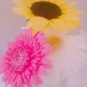 mm☆今年は断捨離.。oの画像