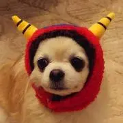 のん吉