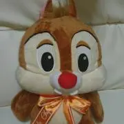 ニージョの画像