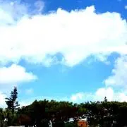 H プロフ必読・お値下げ不可の画像