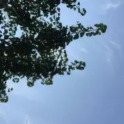 すとろー