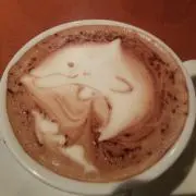 Ko-