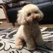 TK037@断捨離中　値段交渉可