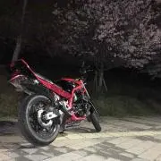 nc17