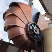 ちびたろの画像