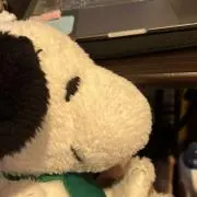 haruの画像