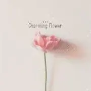 るーぽん