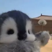 グリーンの画像