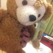 mi---の画像