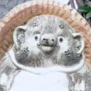 ガタピシ