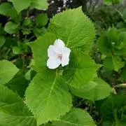 ☆emi☆(プロフ参照お願いします。)の画像