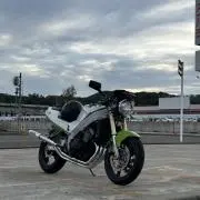 虎