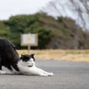 Ryotaの画像