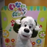 ひなの