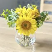 トミタン