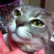 まいん