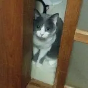 しーちゃん
