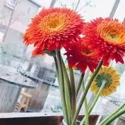 Maeka｜購入前にプロフをご一読下さいの画像