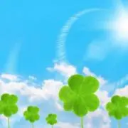 ⭐️⭐️の画像