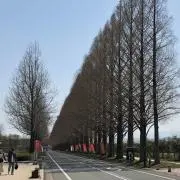 ✩pisa✩の画像
