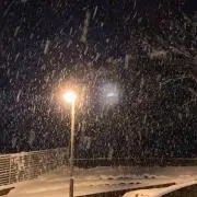 つむ