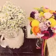 ことりまの画像