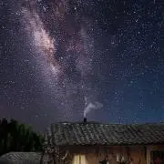 荒川羽の画像