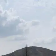ジャカル