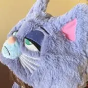 みの画像