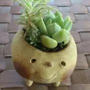 boco kayoの画像